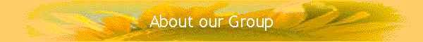 About our Group