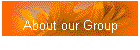About our Group